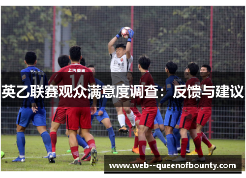 英乙联赛观众满意度调查：反馈与建议