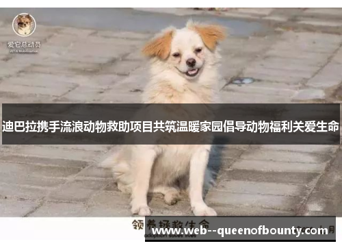 迪巴拉携手流浪动物救助项目共筑温暖家园倡导动物福利关爱生命 迪巴拉携手流浪动物救助项目共筑温暖家园倡导动物福利关爱生命